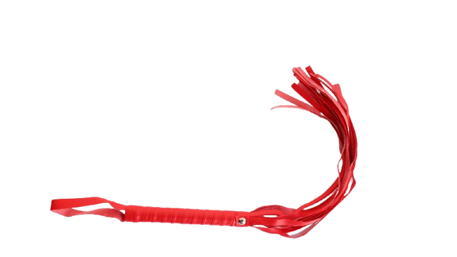 KIT MODELO 02 KIT BONDAGE QUE  INCLUYE: PEZONERAS, LÁTIGO, CORREA DE VINIL, ESPOSAS DE MANOS Y PIES ACOLCHONADO, COLLAR DE VINIL ACOLCHONADO, MORDAZA DE VINIL, CUERDA, ANTIFAZ Y PLUMA.